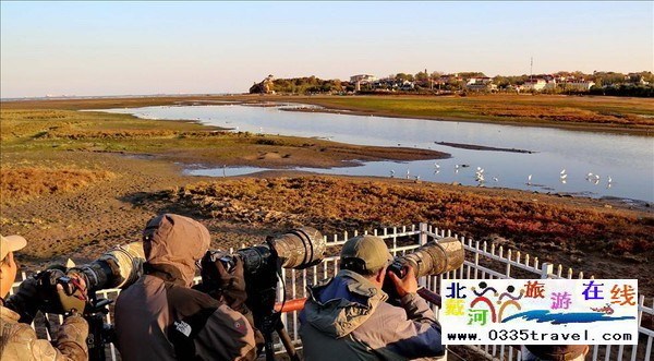 517dujia商旅平臺