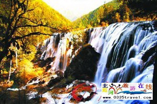 請父母旅游小貼士