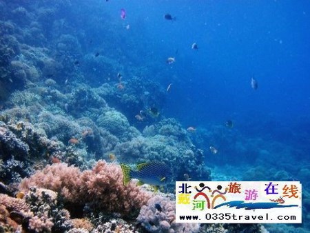 北戴河碧螺塔行者潛水俱樂部