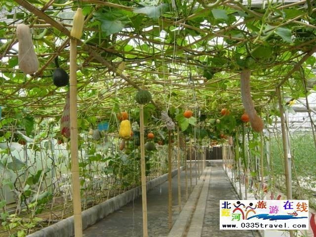 北戴河集發生態觀光園