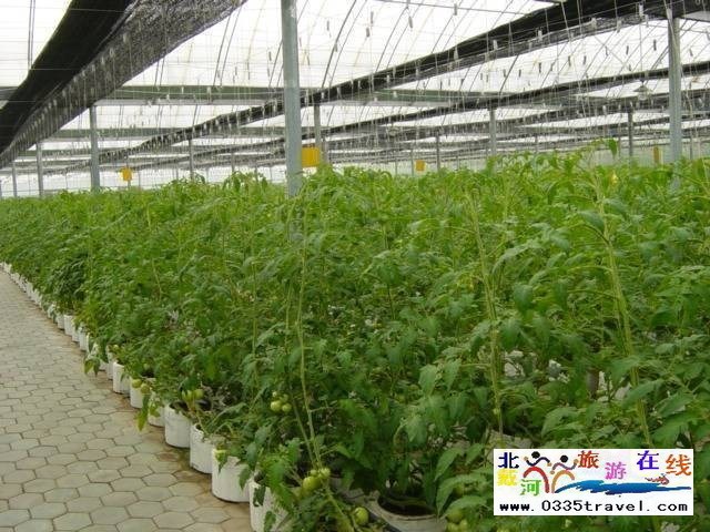 北戴河集發生態觀光園