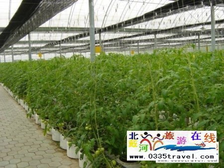 北戴河集發生態觀光園