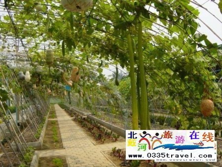 北戴河集發生態觀光園