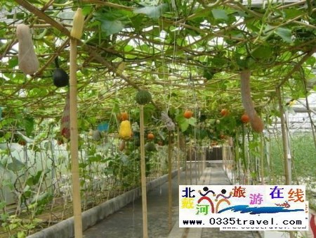 北戴河集發生態觀光園