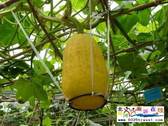 北戴河集發生態觀光園