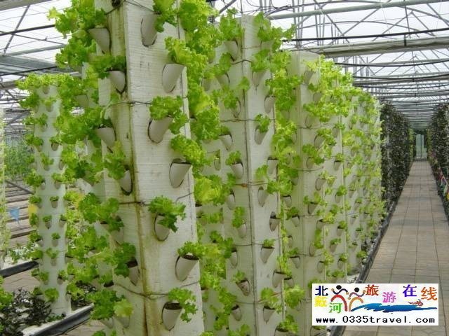 北戴河集發生態觀光園