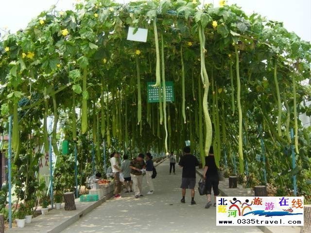 北戴河集發生態觀光園