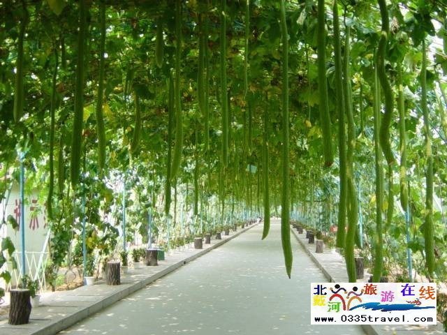 北戴河集發生態觀光園