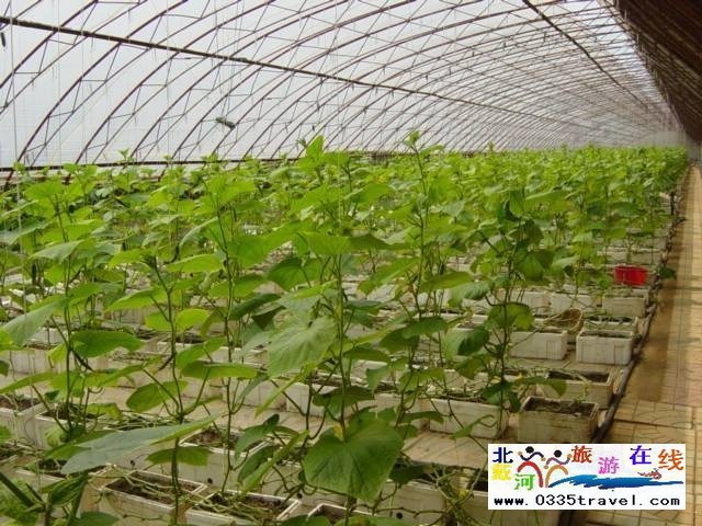 北戴河集發生態觀光園