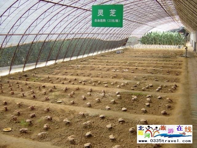 北戴河集發生態觀光園