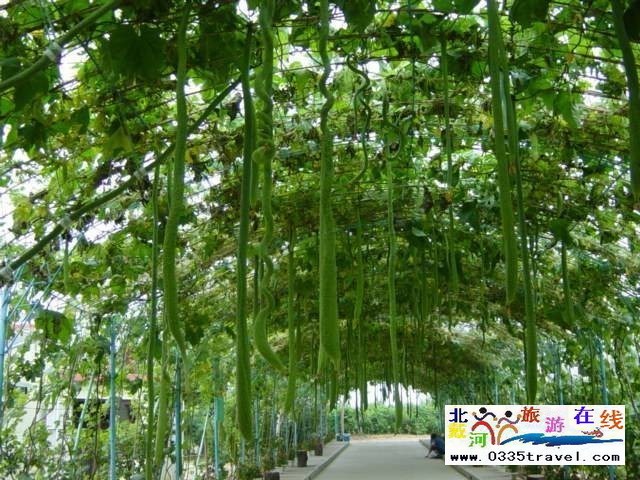 北戴河集發生態觀光園