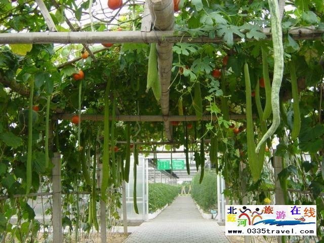 北戴河集發生態觀光園