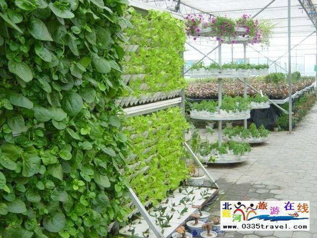 北戴河集發生態觀光園