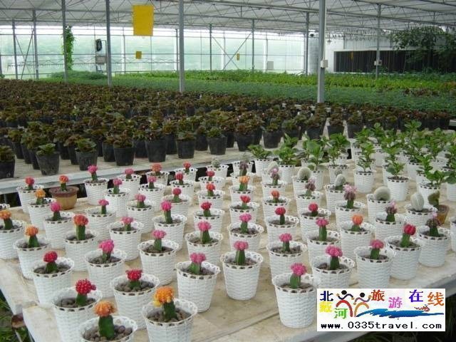 北戴河集發生態觀光園