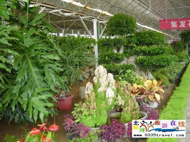 北戴河集發生態觀光園