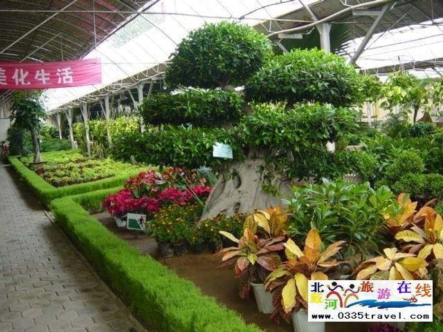 北戴河集發生態觀光園