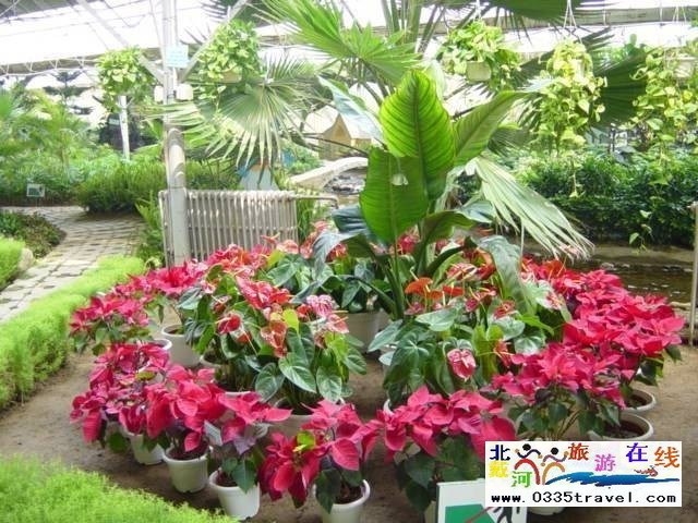 北戴河集發生態觀光園