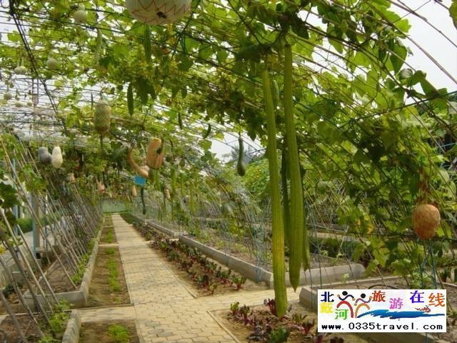 北戴河集發生態觀光園