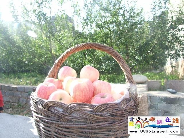 東戴河九門口長城景區