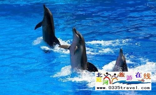 山海關樂島海洋公園