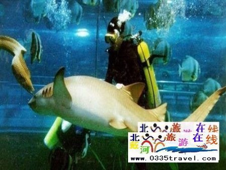 秦皇島新澳海底世界