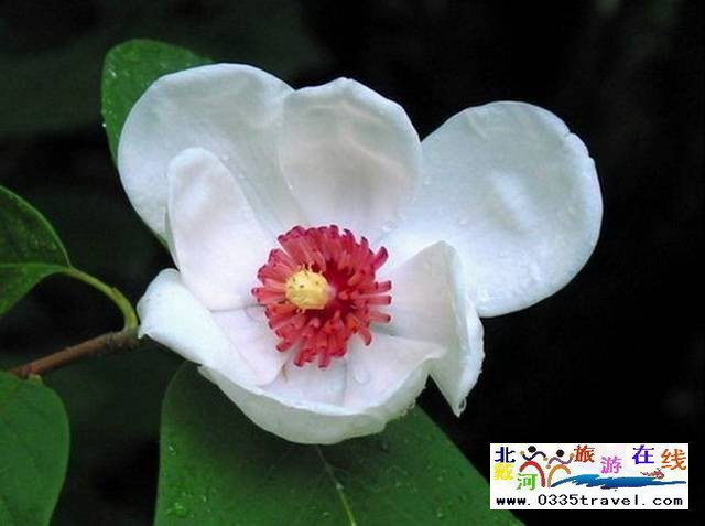 秦皇島祖山景區