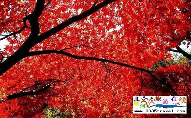 秦皇島祖山景區