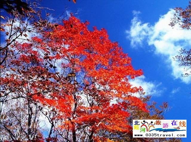 秦皇島祖山景區