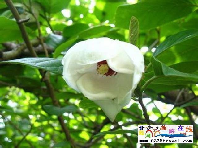 秦皇島祖山景區