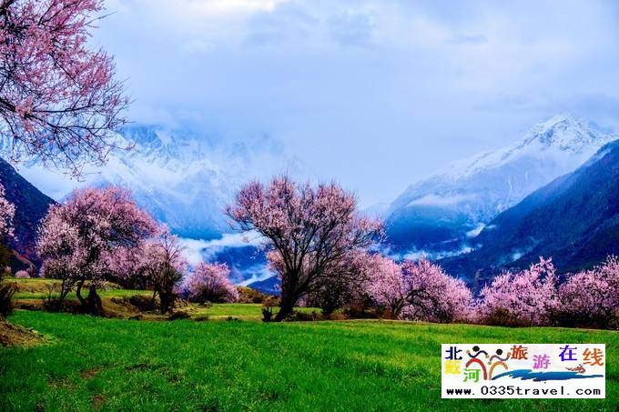 秦皇島至西藏林芝旅游必讀之西藏旅游常見問題解答