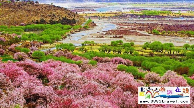 秦皇島至西藏林芝旅游必讀之西藏旅游常見問題解答