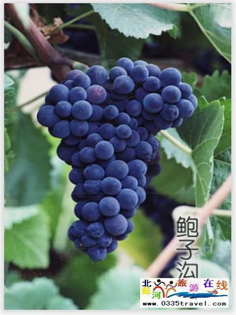 秦皇島一卡通旅游年票優惠辦理電話0335-3522588 3522599 13191824199