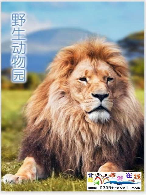 秦皇島一卡通旅游年票優惠辦理電話0335-3522588 3522599 13191824199