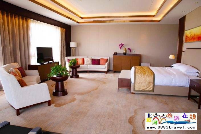 東戴河佳兆業鉑域酒店