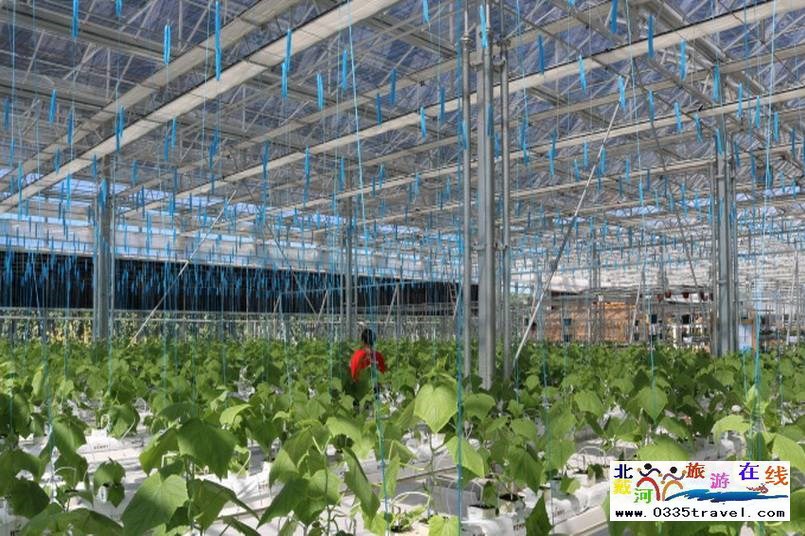 北戴河集發夢想王國電話18633570222  15703350808