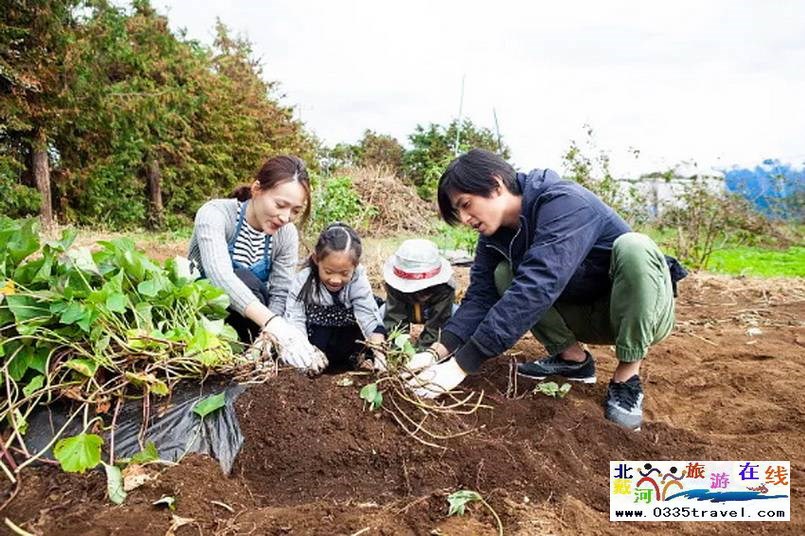 北戴河集發夢想王國電話18633570222  15703350808