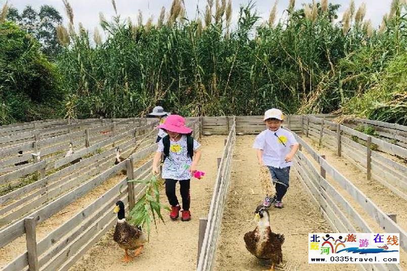 北戴河集發夢想王國電話18633570222  15703350808