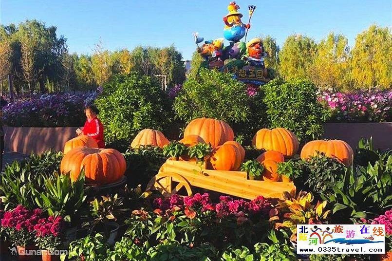 北戴河集發夢想王國電話18633570222 15703350808