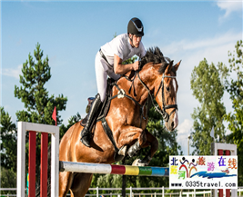 [秦皇島] 秦皇島北戴河超硬核馬術俱樂部集錦——兒童馬術課程：英倫國際馬術俱樂部、仁軒馬術俱樂部、阿那亞馬會