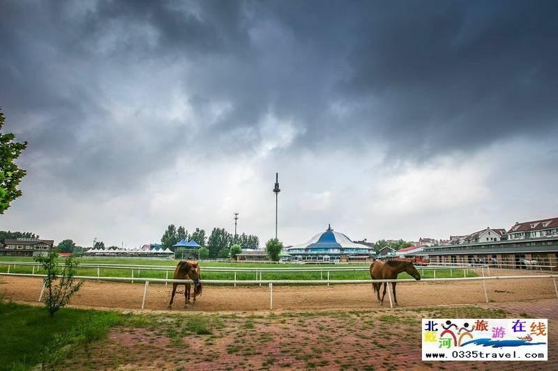 北戴河英倫國(guó)際馬術(shù)俱樂(lè)部酒店