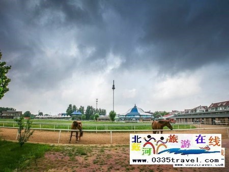 北戴河英倫國際馬術俱樂部