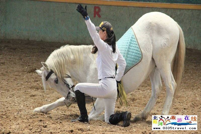 北戴河英倫國際馬術俱樂部