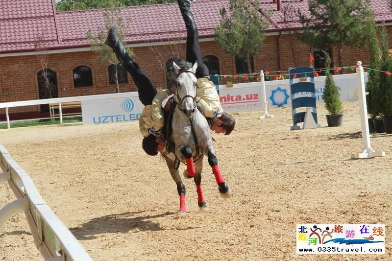 北戴河英倫國際馬術俱樂部