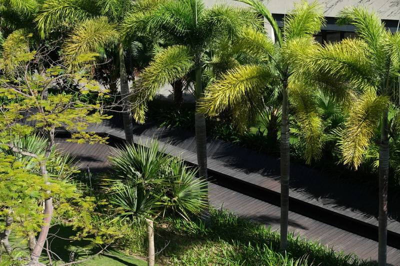 海南金月灣椰海小鎮(zhèn)短租、托管、旅居過冬及購房、民宿預(yù)訂電話18633570222 15703350808