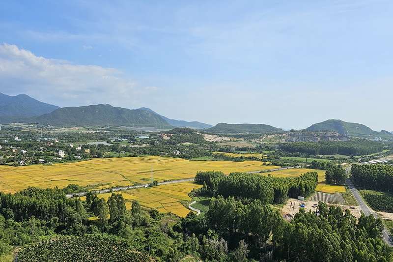 海南金月灣椰海小鎮(zhèn)短租、托管、旅居過冬及購房、民宿預(yù)訂電話18633570222 15703350808