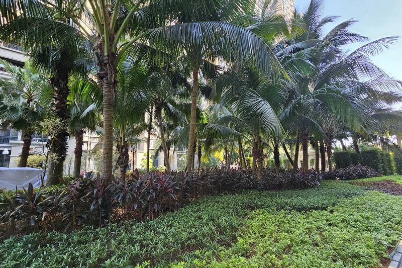 海南海花島親海旅居短租民宿電話咨詢預定電話18633570222 15703350808