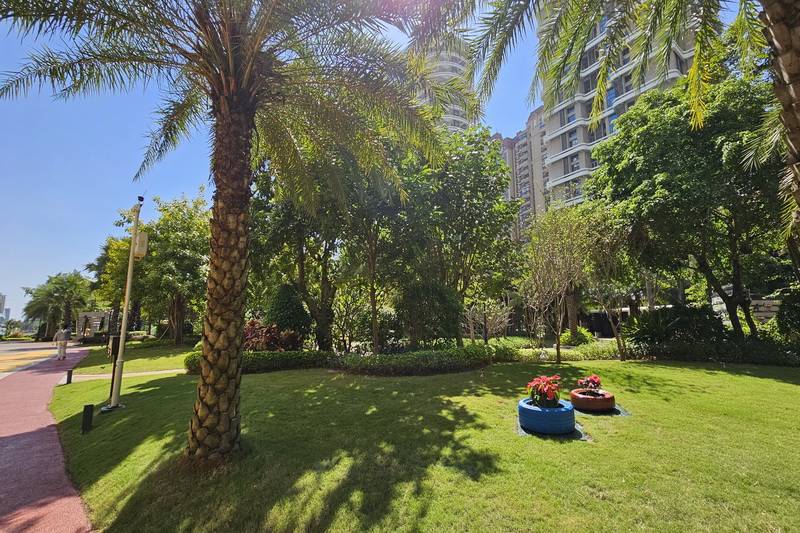 海南海花島親海旅居短租民宿電話咨詢預定電話18633570222 15703350808