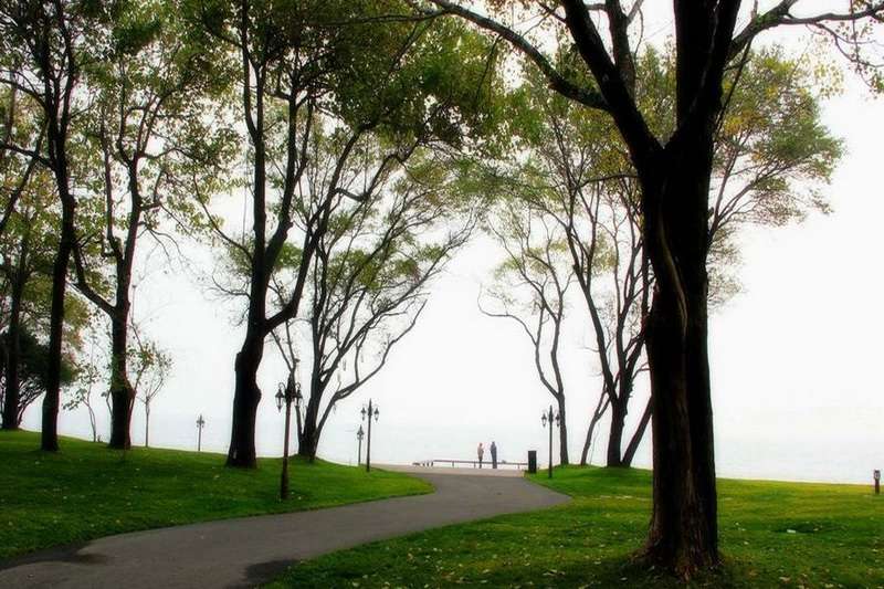 秦皇島北戴河草坪教堂高端婚禮現場推薦:秦皇島西港花園——海誓花園18633570222 秦皇島北戴河草坪教堂高端婚禮現場推薦:秦皇島西港花園——海誓花園18633570222