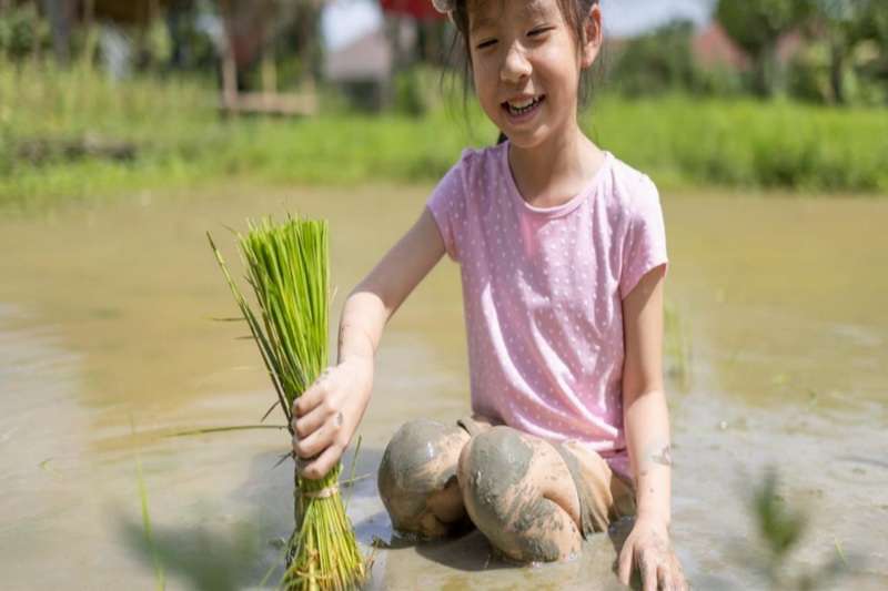 北戴河漁田小鎮七里海度假區電話18633570222