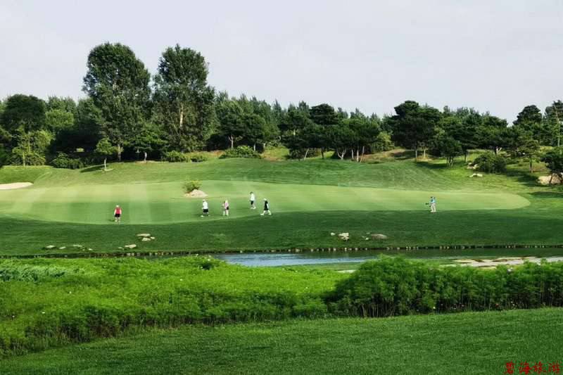 北戴河松石高爾夫/保利國際高爾夫/榮盛森林高爾夫俱樂部球場聯(lián)合優(yōu)惠預訂18633570222  15703350808